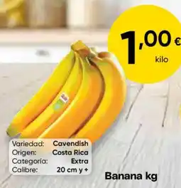 FROIZ Banana oferta