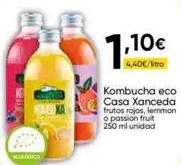 FROIZ Kombucha eco Casa Xanceda oferta
