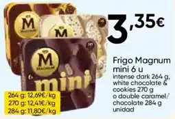 FROIZ Frigo Magnum mini oferta
