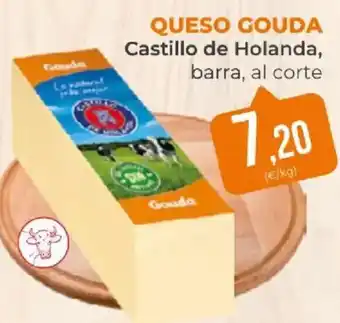Gouda queso gouda castillo de holanda