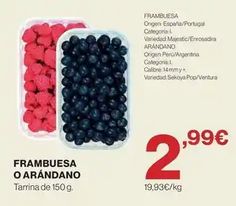 Origen - frambuesa o arandano