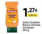 FROIZ Orlando - salsa cheddar bacon oferta