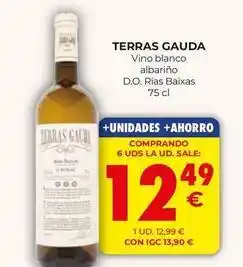 CashDiplo Terras gauda - vino blanco albariño d.o. rias baixas oferta