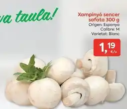 Suma Supermercados Origen - xampinyo sencer safata oferta