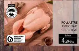 Plusfresc Safata pollastre eviscerat certificat oferta