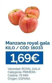 Dialsur Cash & Carry Gala - manzana royal oferta