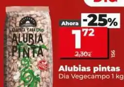 Dia Dia vegecampo - alubias pintas oferta