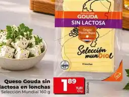 Dia Dia seleccion mundial - queso gouda sin lactosa en lonchas oferta
