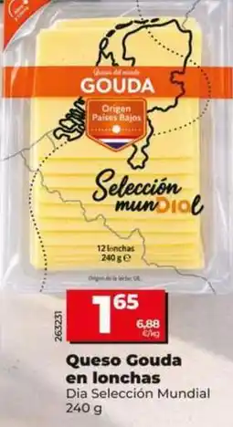 Dia Dia seleccion mundial - queso gouda en lonchas oferta