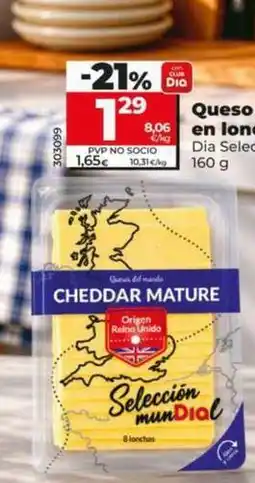 Dia Dia seleccion mundial - queso cheddar en lonchas oferta