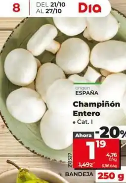 Dia Champiñón entero oferta