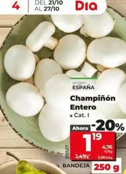 Dia Champiñón entero oferta
