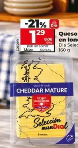 Dia Dia seleccion mundial - queso cheddar en lonchas oferta