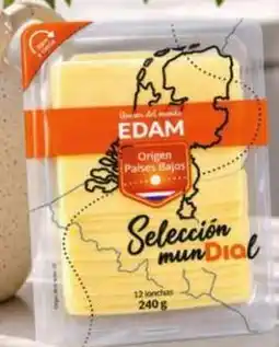 Dia Dia seleccion mundial - queso edam en lonchas oferta