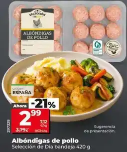 Dia Seleccion de dia - albóndigas de pollo oferta