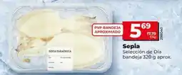 Dia Seleccion de dia - sepia oferta