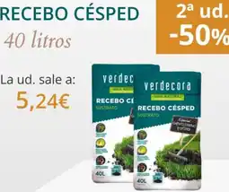 Verdecora Rebeco cesped oferta