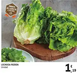 E.Leclerc Lechuga rizada oferta