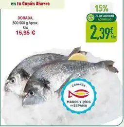 Masymas Dorada - dorada oferta