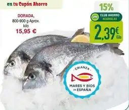 Masymas Dorada - dorada oferta