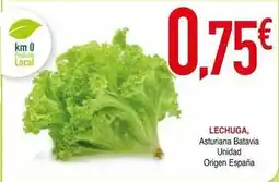 Masymas Asturiana - lechuga oferta