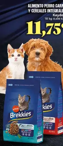 Gadis Affinity - alimento perro carri y cereales integrali oferta