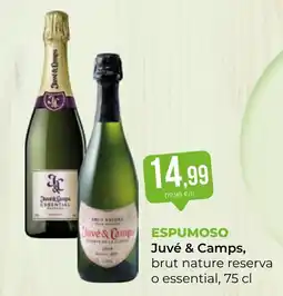 SPAR Gran Canaria Juvé & Camps espumoso oferta