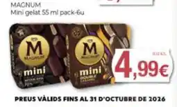 Supermercats Jespac magnum mini gelat oferta