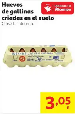 Alcampo Producto Alcampo huevos de gallinas criadas en el suelo oferta