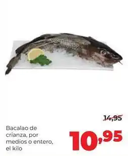 Alimerka Bacalao de crianza oferta