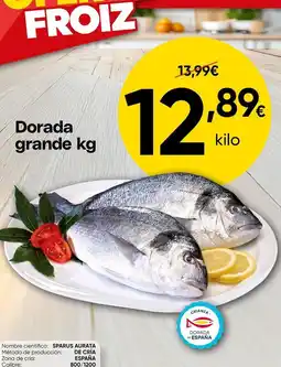 FROIZ Froiz - dorada grande oferta