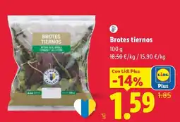 Lidl Compro Canario brotes tiernos oferta
