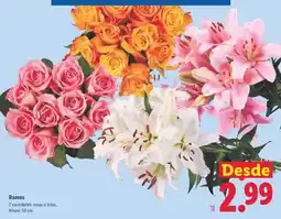 Lidl Ramos oferta