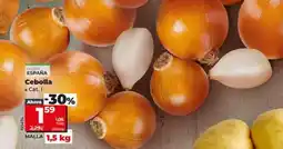 Dia Cebolla oferta