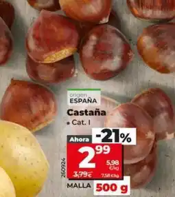 Dia Castaña oferta
