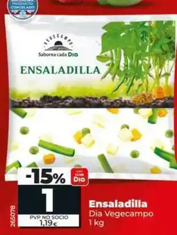 Dia Dia vegecampo - ensaladilla oferta