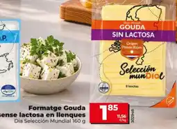 Dia Gouda sin lactosa en llenques oferta