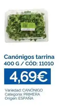 Origen - canónigos tarrina