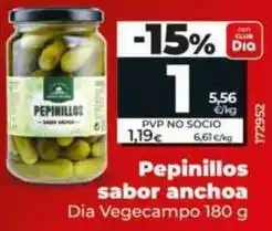 Dia Dia vegecampo - pepinillos sabor anchoa oferta