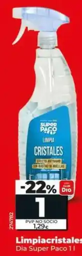 Dia Dia super paco - limpiacristales oferta
