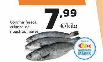 Supermercados Lupa Corvina Fresca Crianza De Nuestros Mares oferta