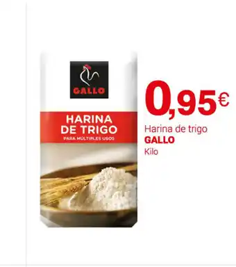 Supermercados Plaza Gallo Harina de Trigo oferta