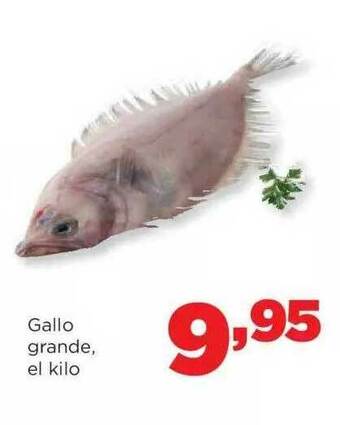 Alimerka Gallo Grande oferta