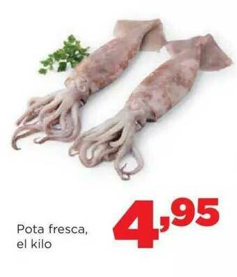 Alimerka Pota Fresca oferta