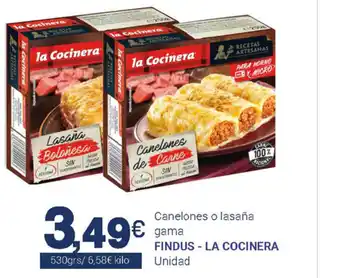 Supermercados Plaza Findus La cocinera Canelones o lasaña gama 530grs oferta
