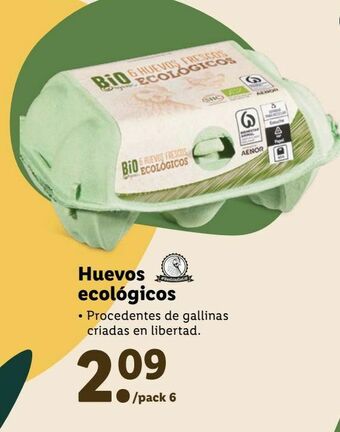 Lidl Huevos oferta