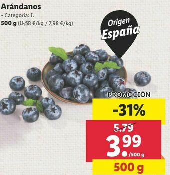 Lidl Arándanos oferta