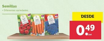 Lidl Semillas oferta