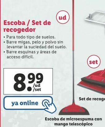 Lidl Escoba vileda oferta