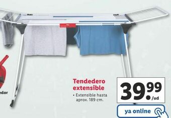 Lidl Tendedero extensible oferta